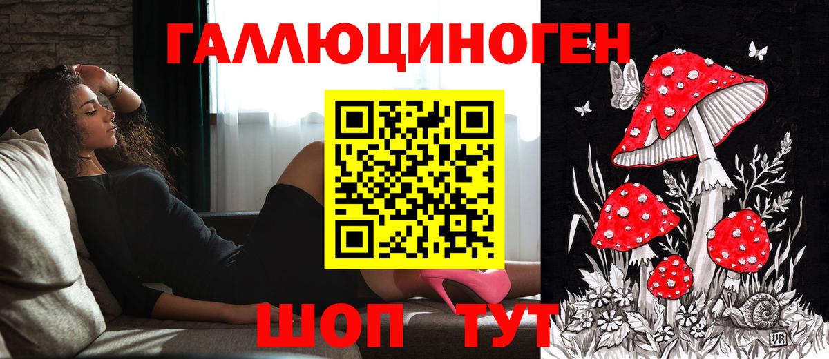 Псилоцибиновые грибы Cubensis Свободный