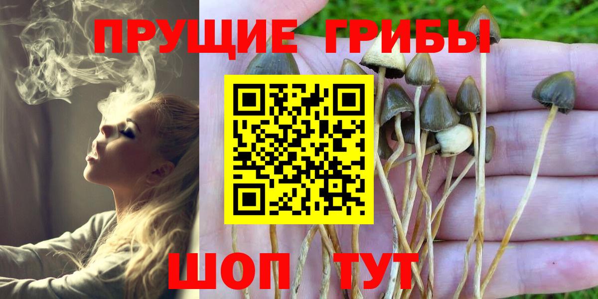 Псилоцибиновые грибы Psilocybine cubensis  Псилоцибиновые грибы MAGIC MUSHROOMS  Вход с VPN  Свободный 